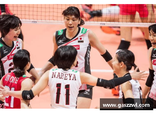 日本女排归化球员号码解析与分析