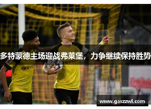 多特蒙德主场迎战弗莱堡，力争继续保持胜势